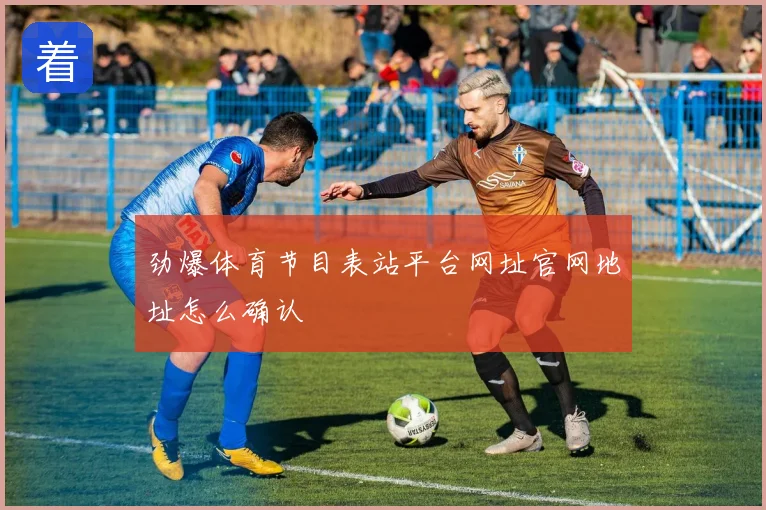 劲爆体育节目表站平台网址官网地址怎么确认